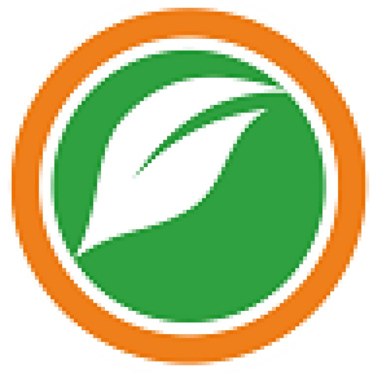 OrangeCity Lyseis